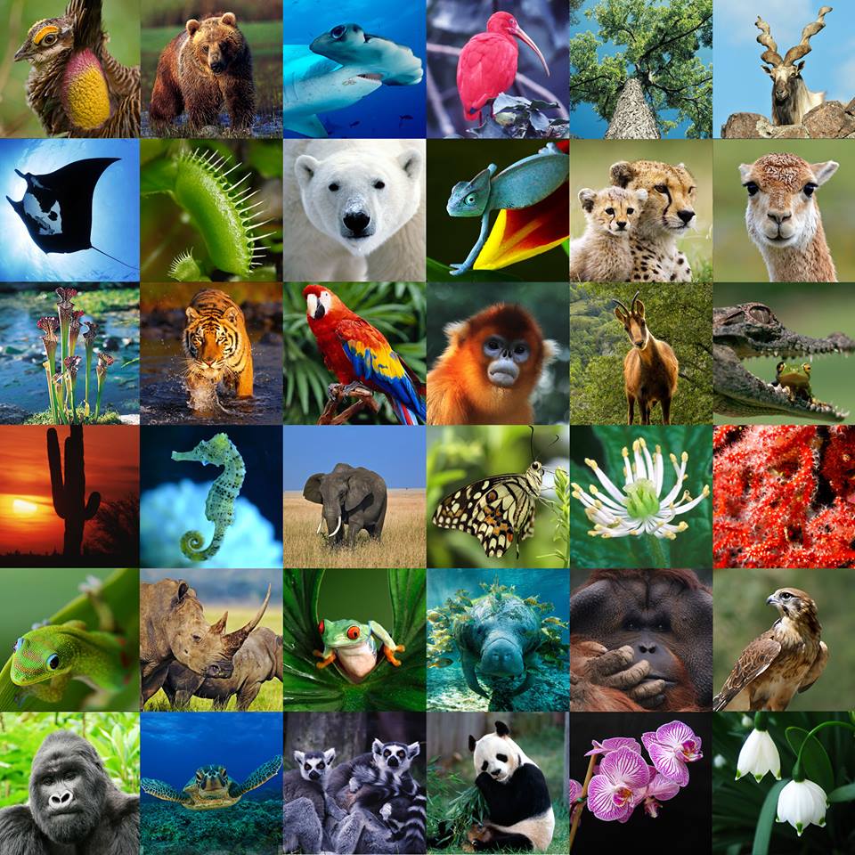 3058 biodiversity