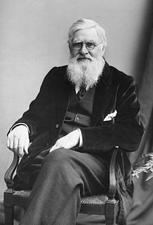 Alfred Russel Wallace c1895